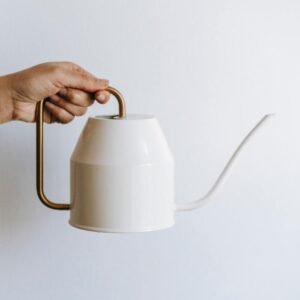 MCM Watering Can