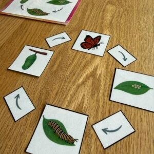 Montessori