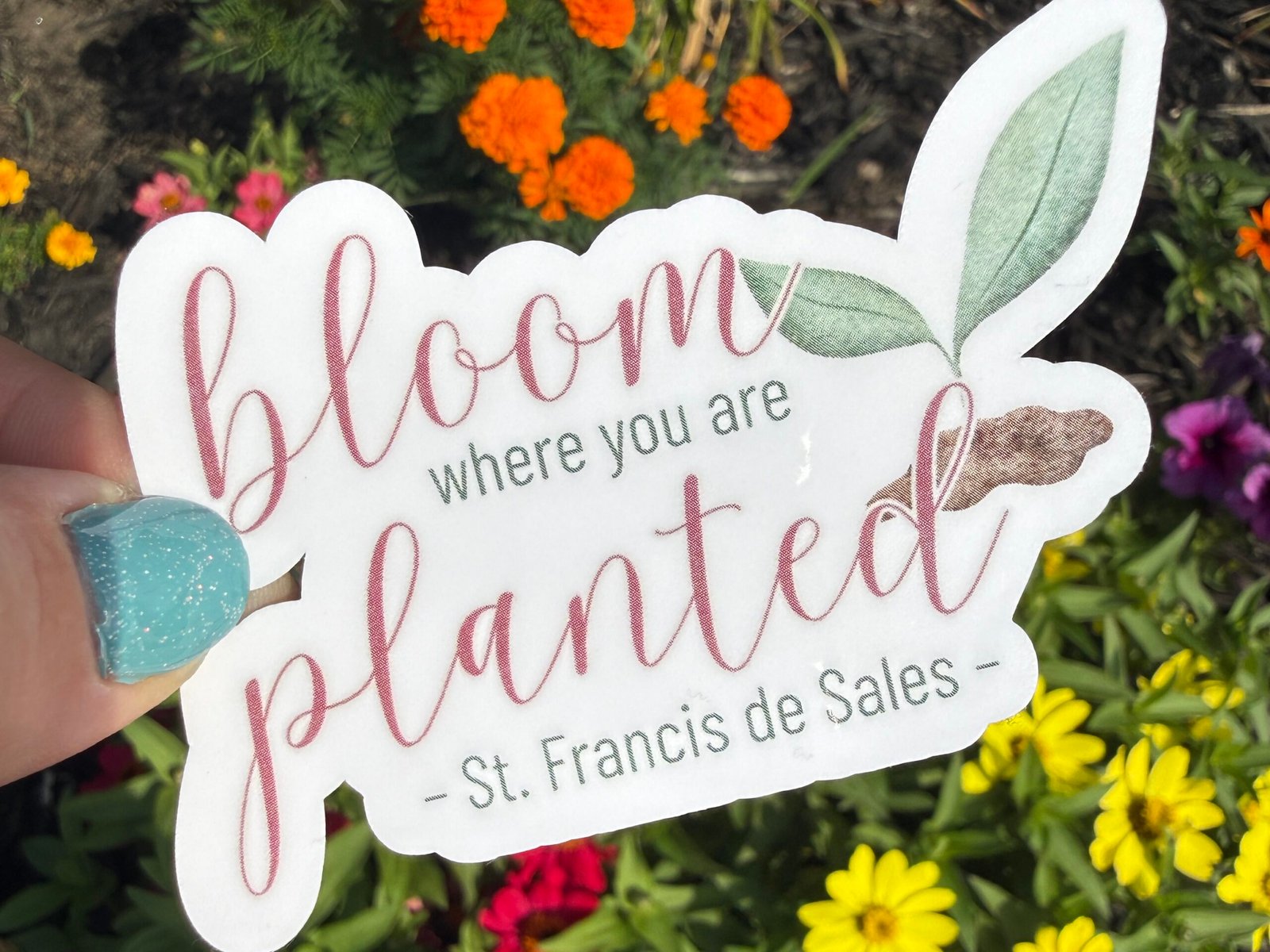Bloom Where You Are Planter St Francis de Sales