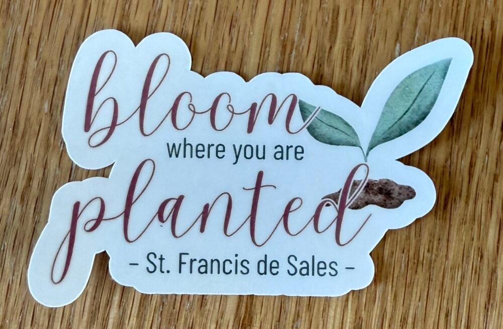Bloom Where You Are Planted St. Francis de Sales Sticker