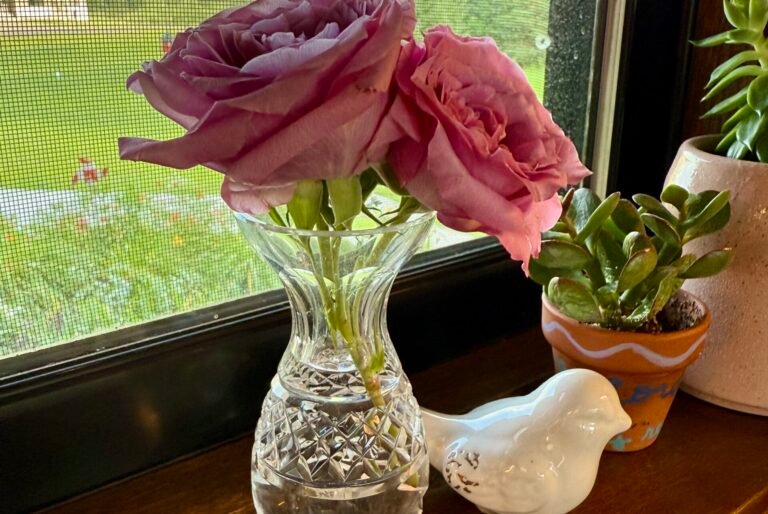 Montessori Mondays: Why Beauty Matters in the Prepared Environment